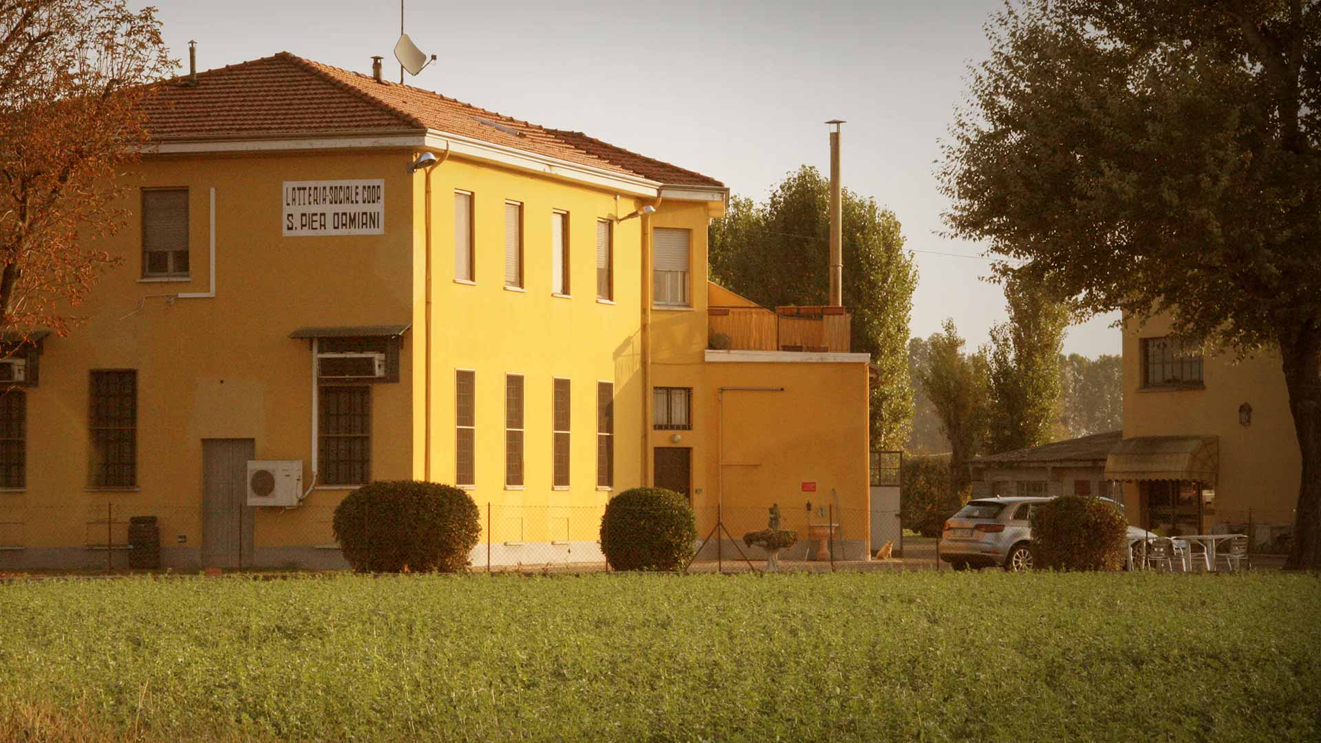 Tablier professionnel - Caseificio San Pier Damiani